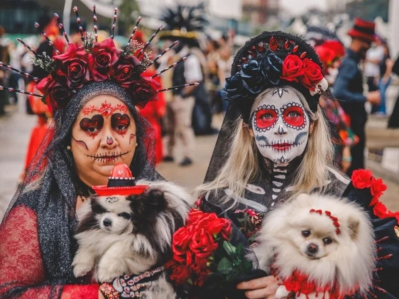 Festival de Dia de Muertos